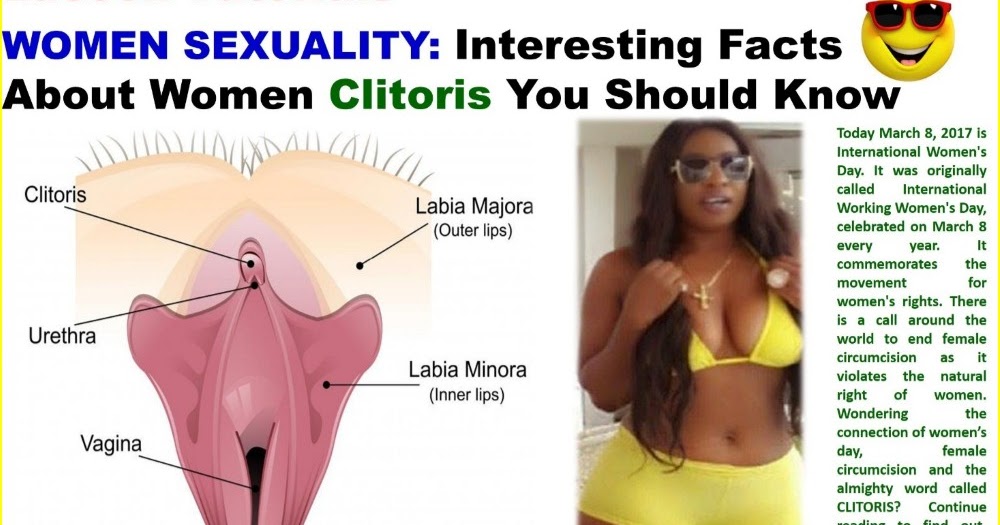 picture female clitoris Picture female clitoris