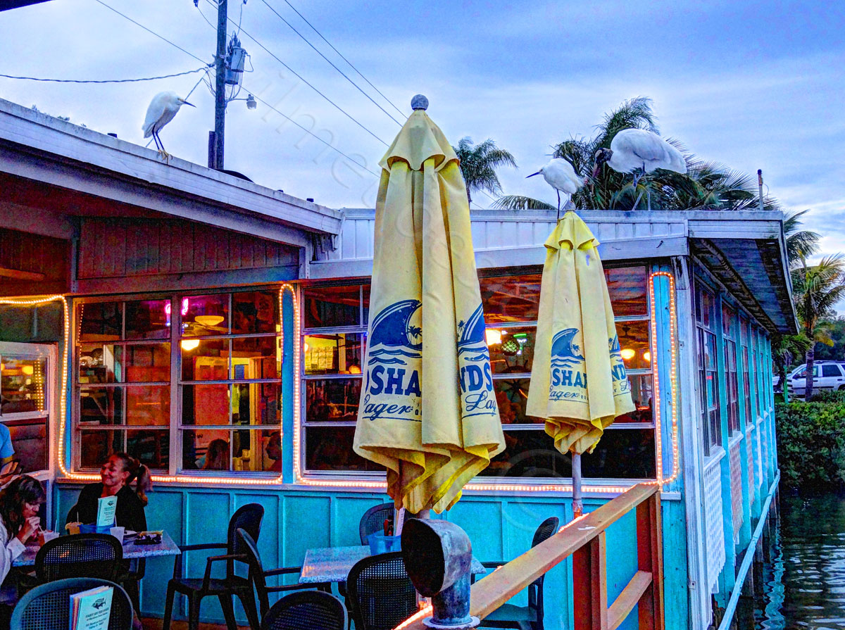 Waterfront Escapades Restaurant 38 is on Casey Key in Osprey
