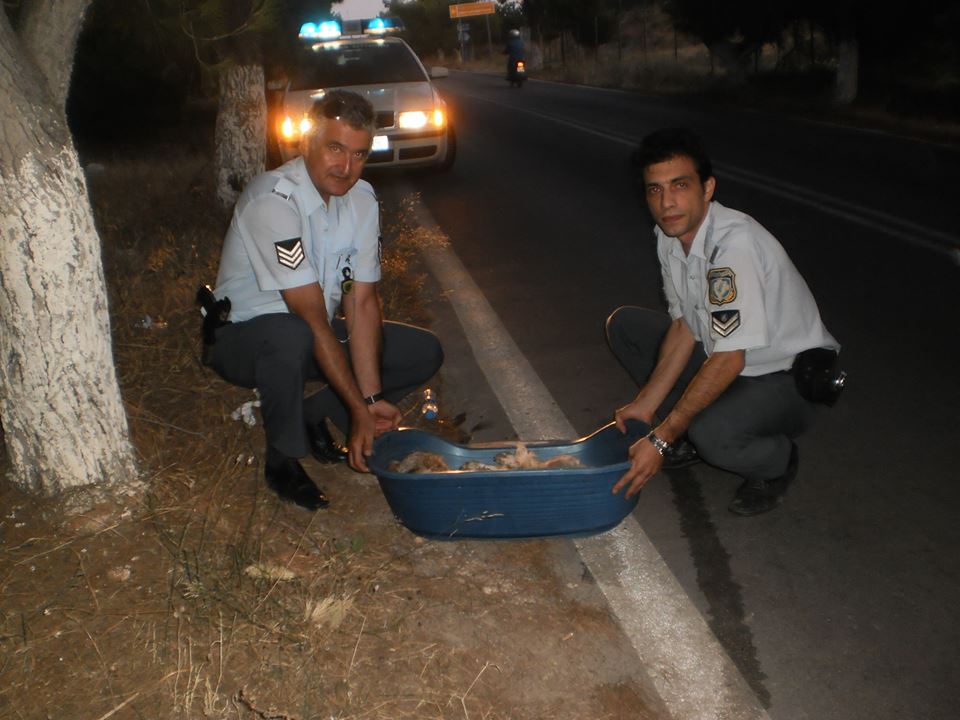 Salamis Today ΤΟ ΑΛΛΟ "ΠΡΌΣΩΠΟ"