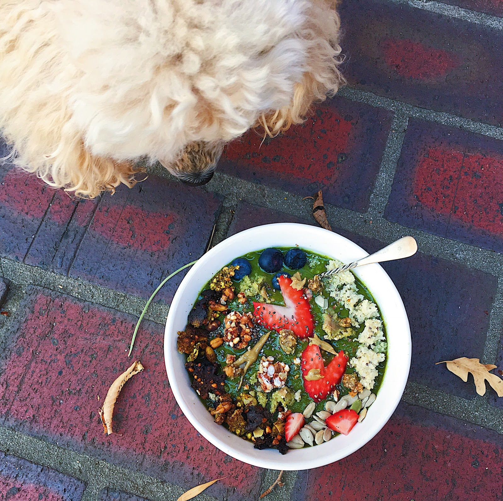 Bright Breakfast Buddha Bowl with Frontier Bites (Gluten Free, Vegan