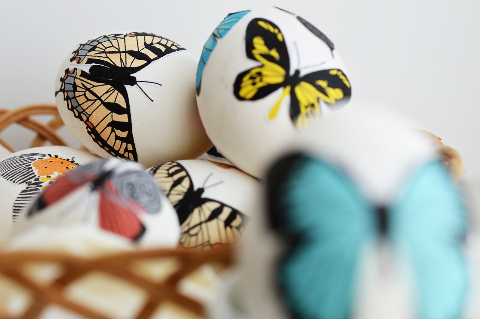 DIY Decoupage Easter Eggs | Butterfly Anatomy | Motte's Blog