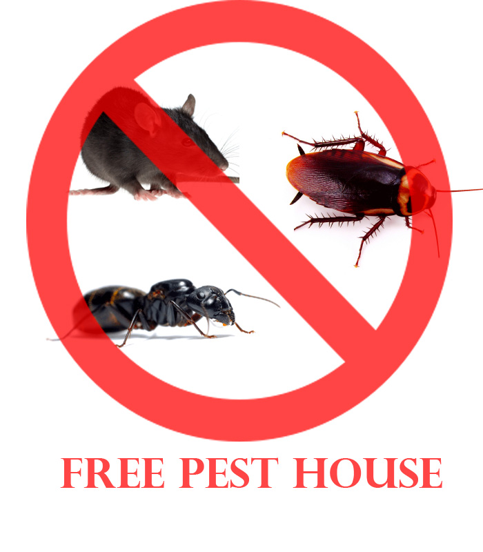 Home Care House FREE Pest Worryfree Pest control Charleston SC