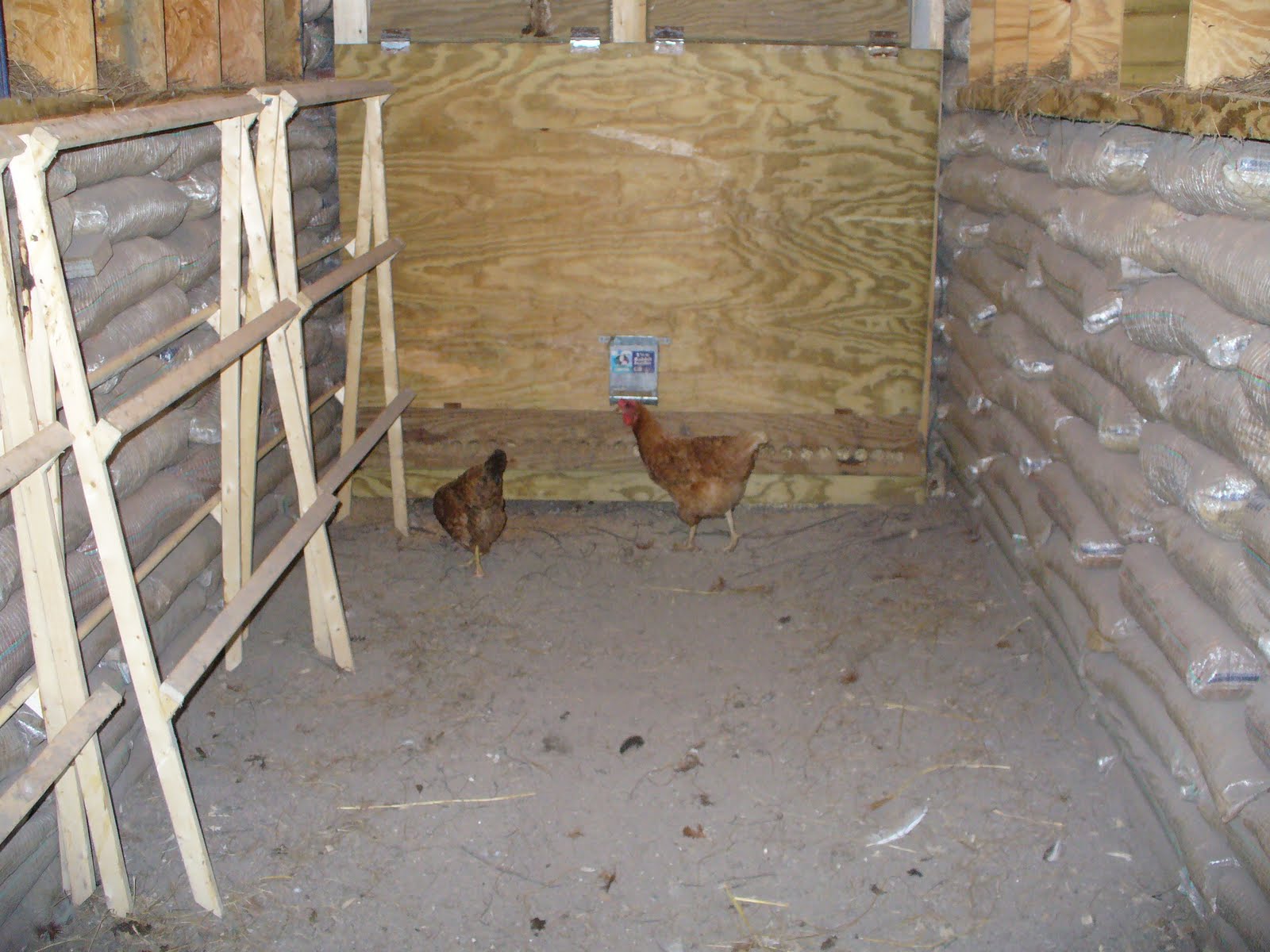Country Boy Will Survive A Better Chicken Coop
