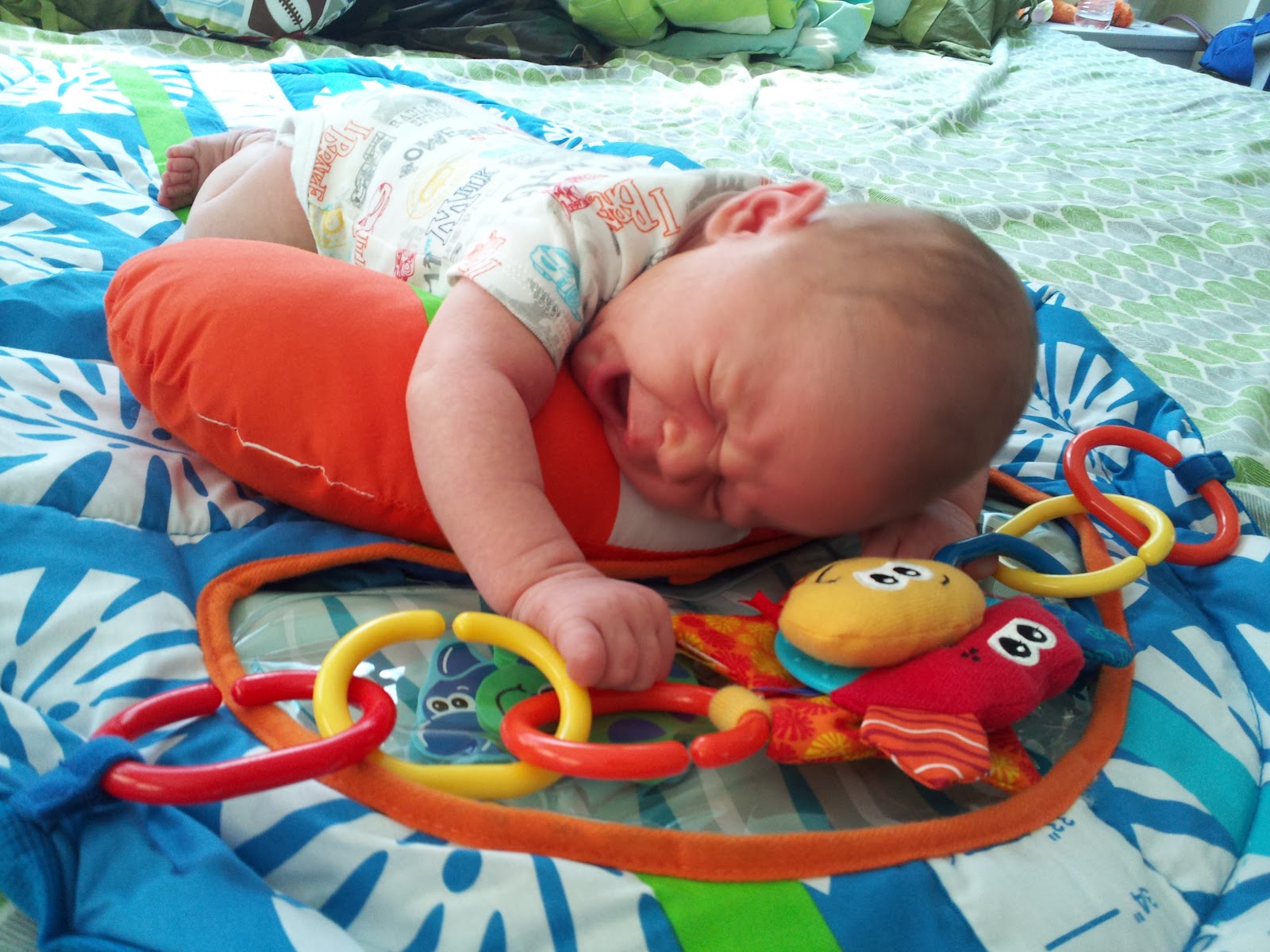 Baby Boy Packard 2012 3 weeks old and a bunch of pictures!