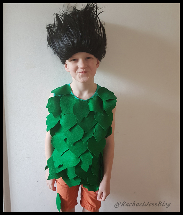 How I made a Branch Trolls costume A DIY and lifestyle blog with a