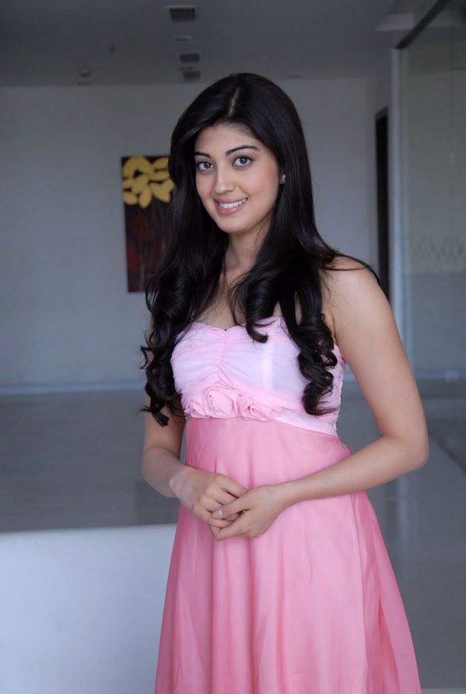 Pranitha Subhash Latest Photos in Pink Dress