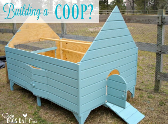 Beginner's guide to building your first chicken coop