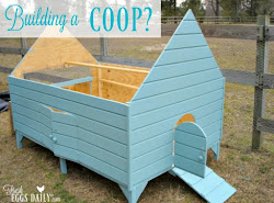 chicken coop building consider things chickens box text