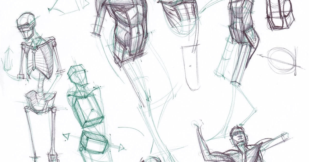 figuredrawing.info news Anatomy Tools March 2017