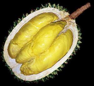 8+ Jenis dan Manfaat Buah Durian untuk Kesehatan 2