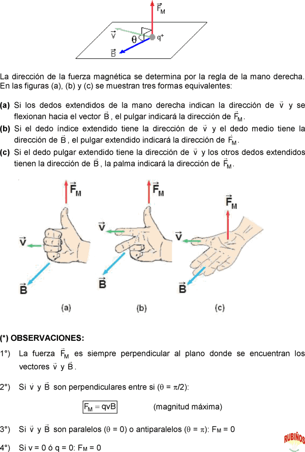 CAMPO MAGNÉTICO FUERZA MAGNÉTICA OERESTED EJERCICIOS