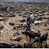Nepal, se acabaron los sacrificios de miles de animales
