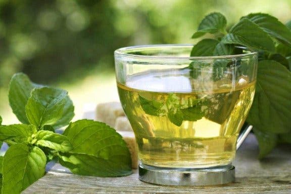 Mint tea to promote weight loss