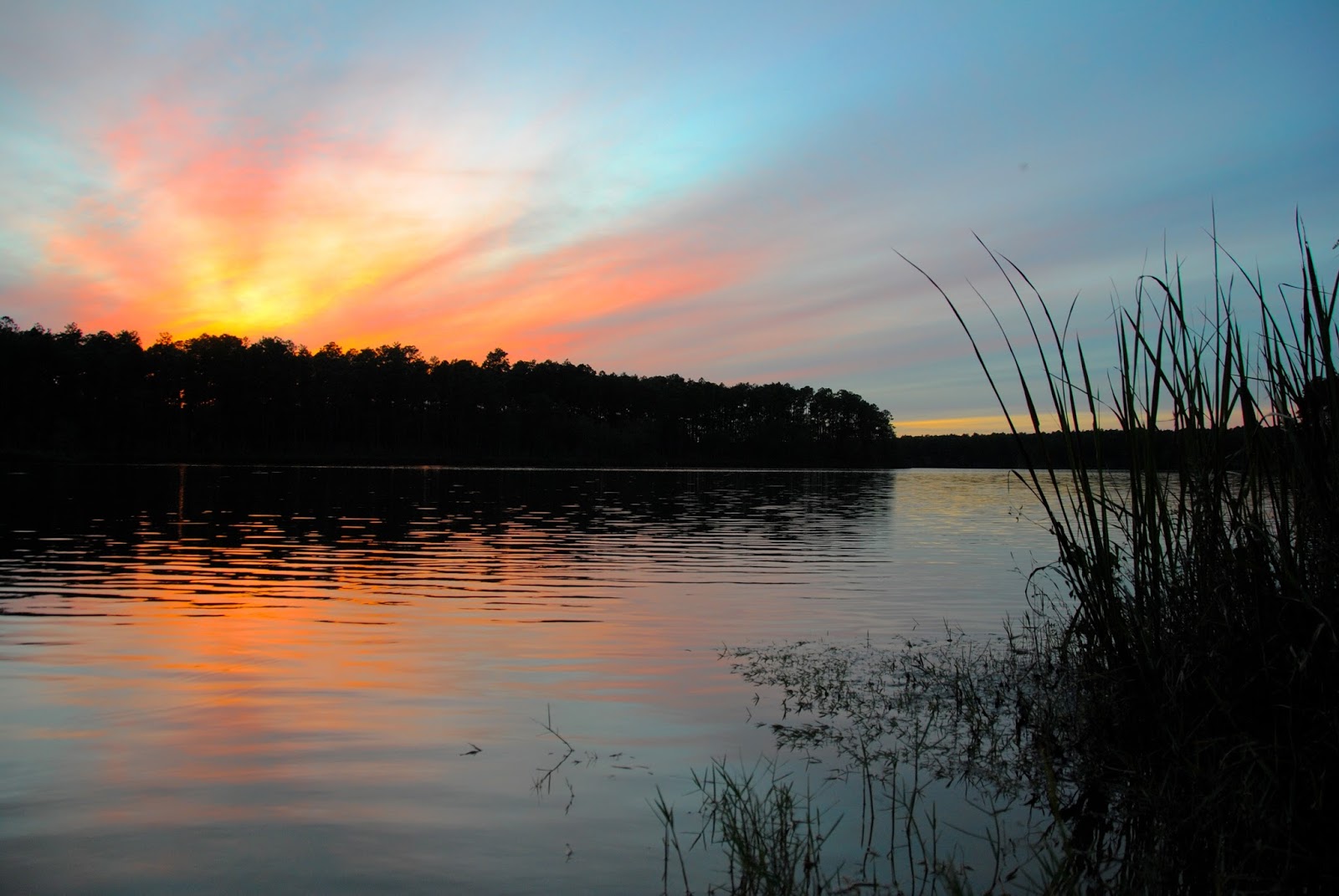 Rainwood Photography Sunset at Bear Lake, Blackwater River State Forest
