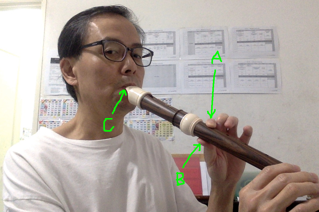 Learning Alto Recorder September 2016