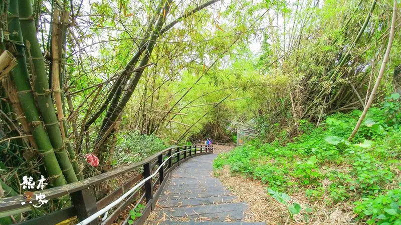小琉球IG景點|竹林生態濕地公園|碧雲寺~有日本嵐山竹林的fu