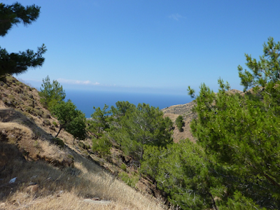 Paphos forest, Cyprus