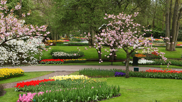 Taman Kota Terbaik untuk Bersantai dan Menikmati Alam di Tengah Kota