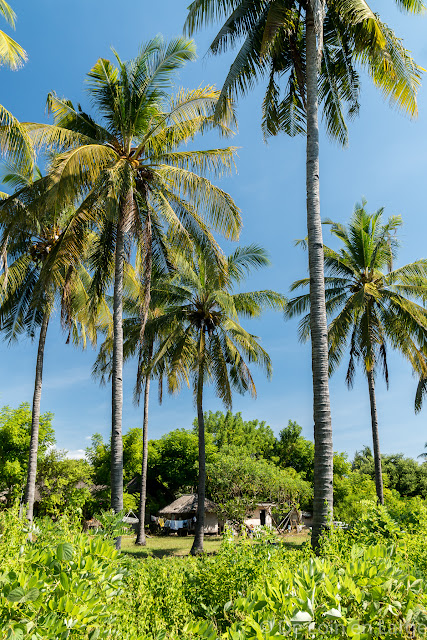 Gili Meno - Bali Lombok