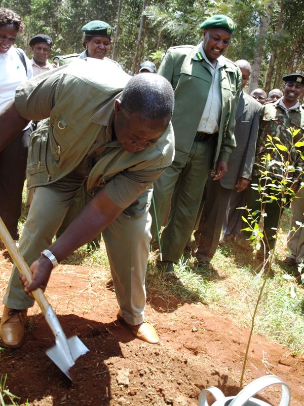 Kenya Forests Guideline Booklets on Planting of Eucalyptus Launched