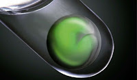 La retina creada por los científicos del Japón en un tubo de ensayo