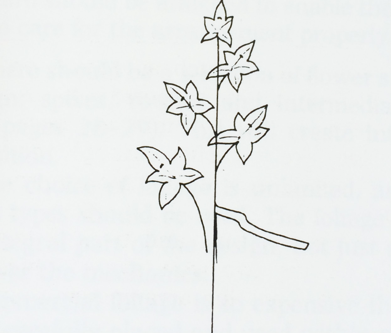 FLOWEROUND certainly, for you. Construction and Wiring Techniques