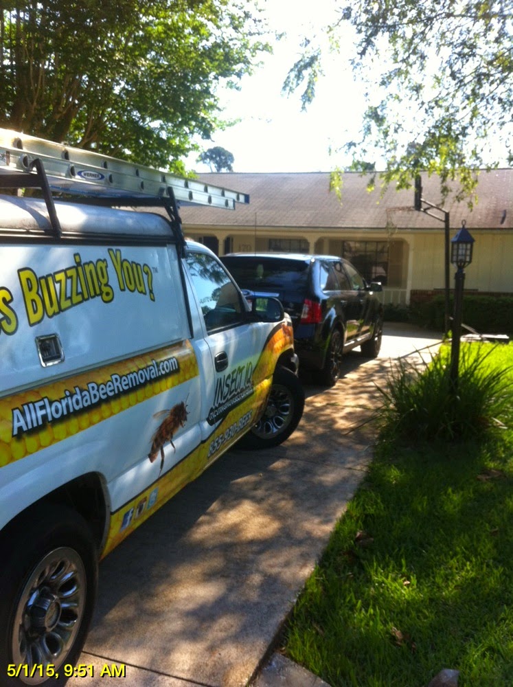 ALL Florida Recent Bee Removals