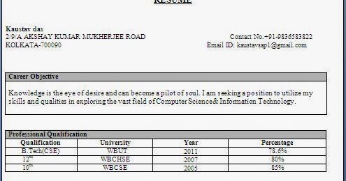 copy and paste resume templates - Professional Resume Formats (157).JPG