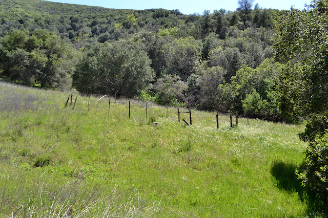 small corral with a trough