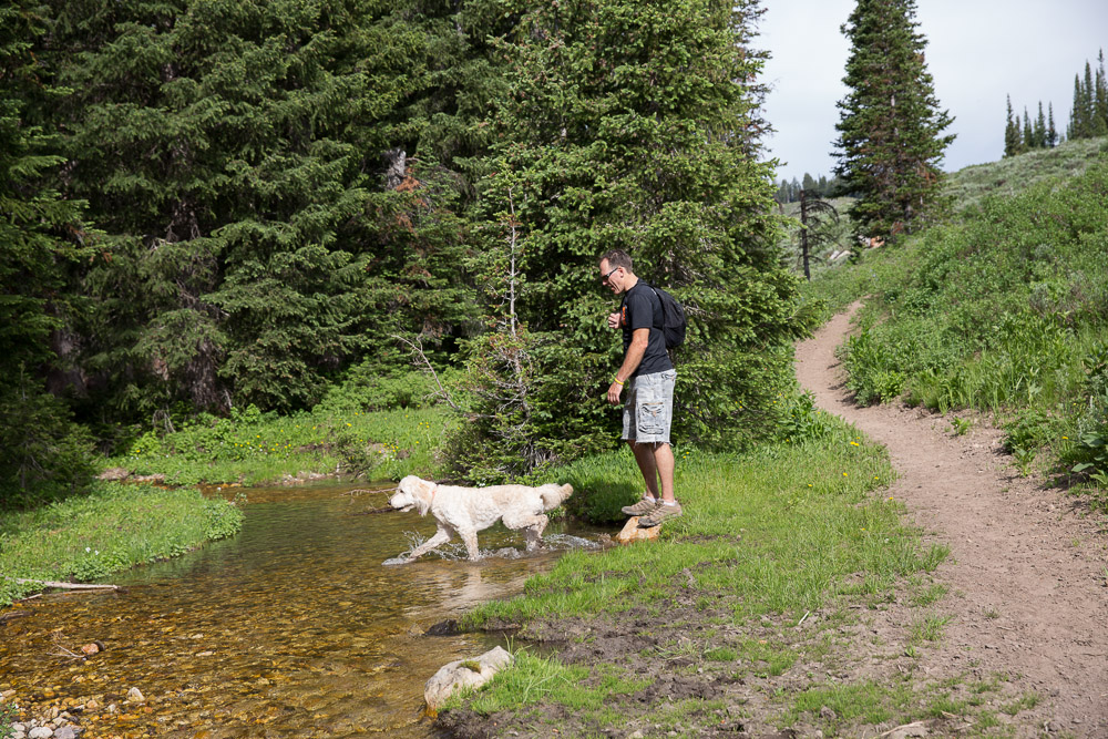 The Garlick Press Steam Mill Hollow