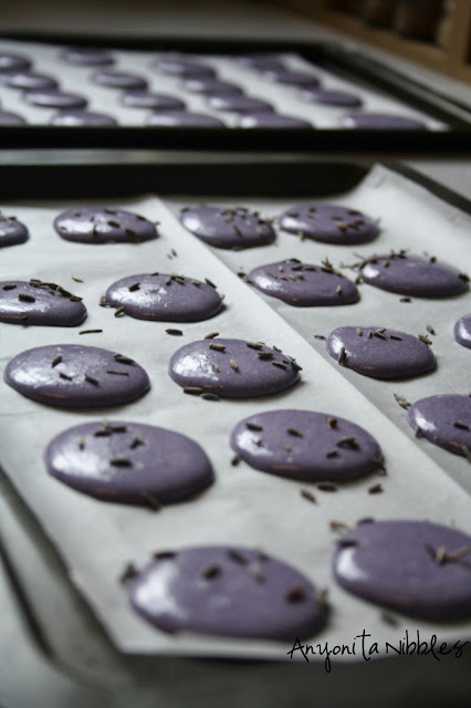 Trays of lavender and rose macarons before baking from @anyonita