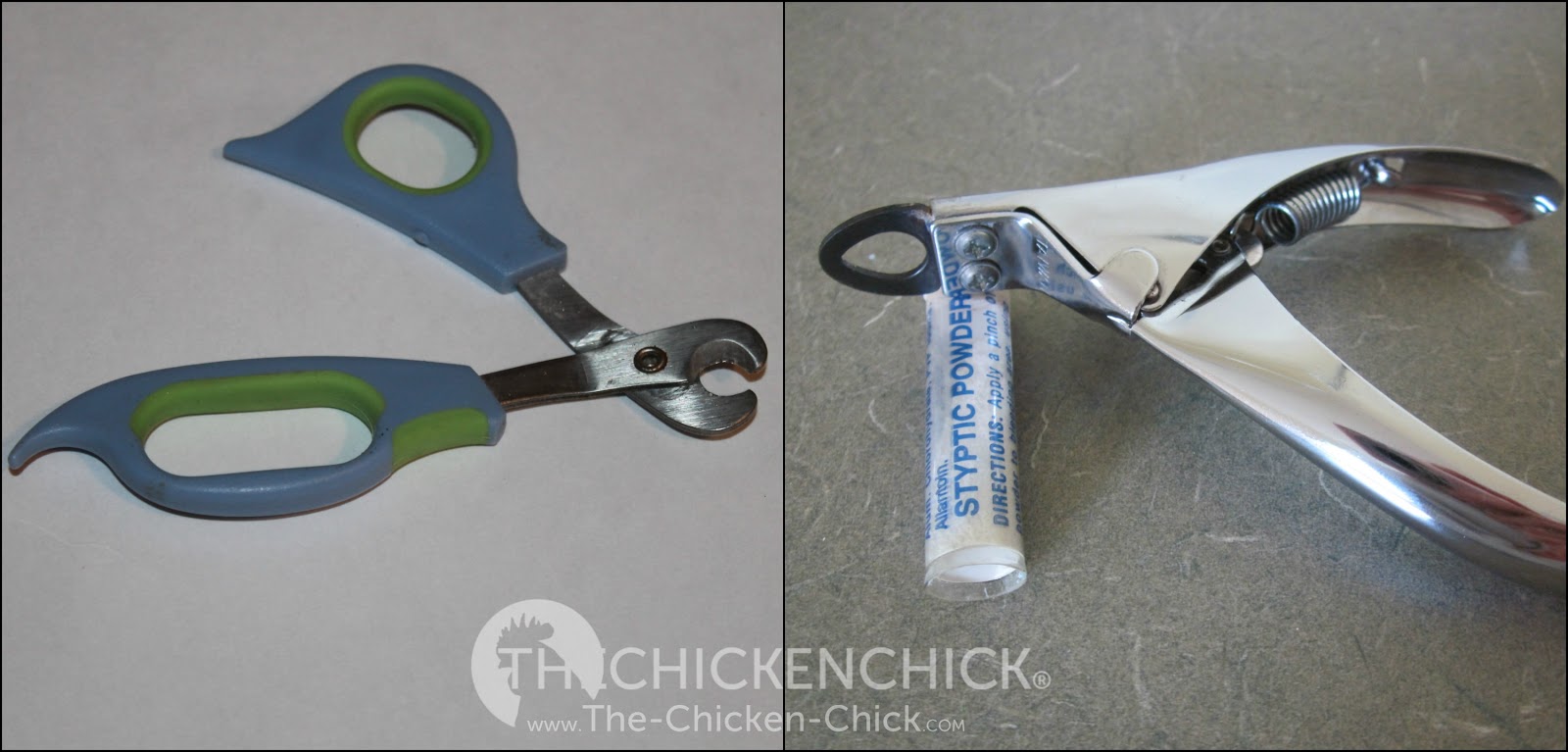 The Chicken Chick® When & How to Trim a Chicken's Nails & Rooster's Spurs