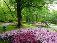 JARDIM KEUKENHOF
