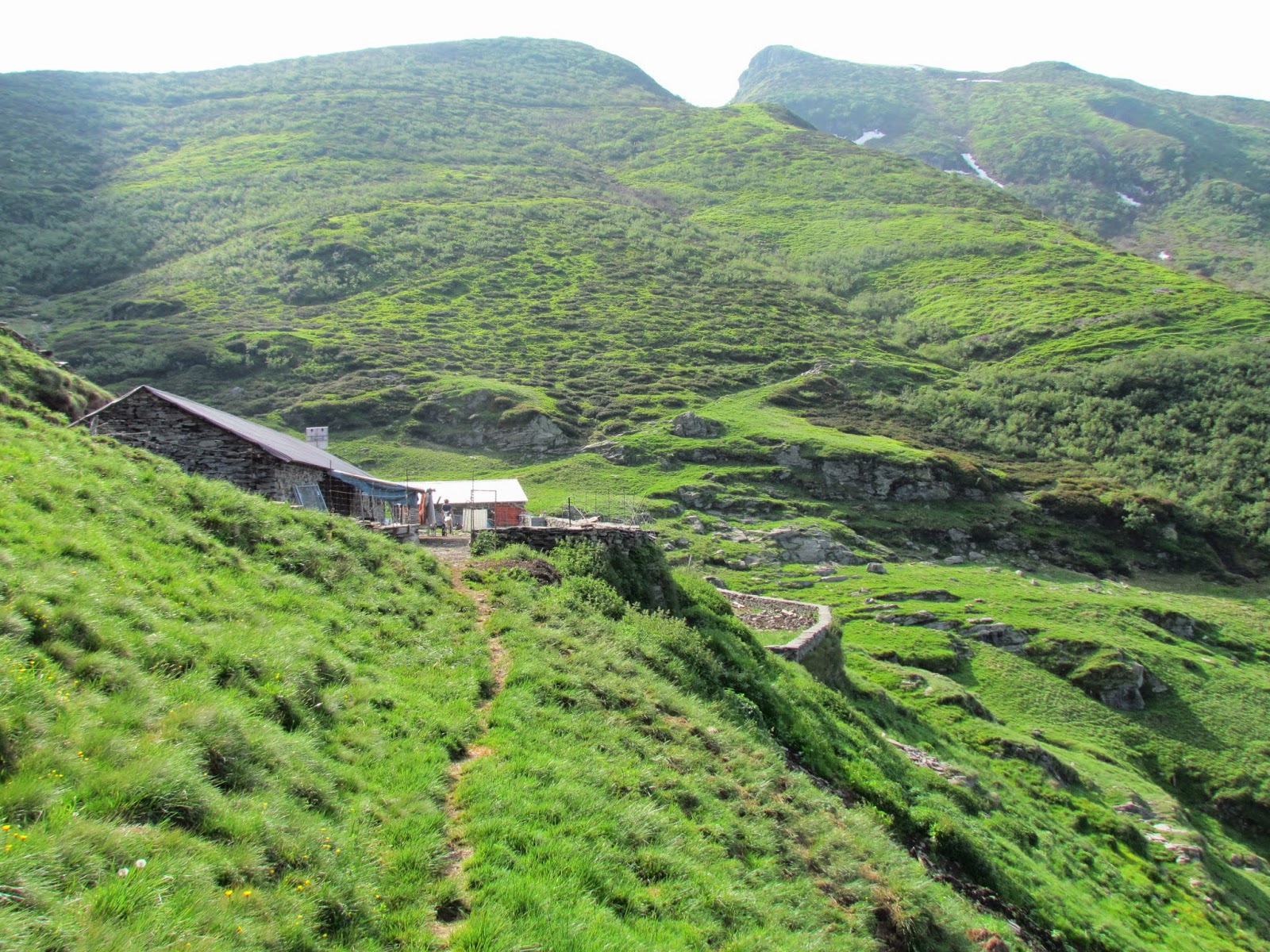 VOCE DEL GAMBAROGNO Alpe Montoia aperta ai visitatori!!