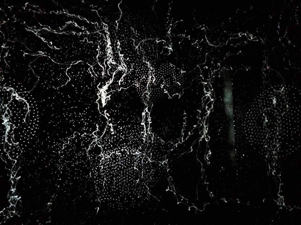 Videot porno homo HD