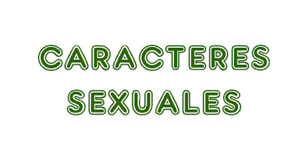 https://cplosangeles.educarex.es/web/sexto_curso/naturales_6/caracteres_sexuales_6/caracteres_sexuales_6.html