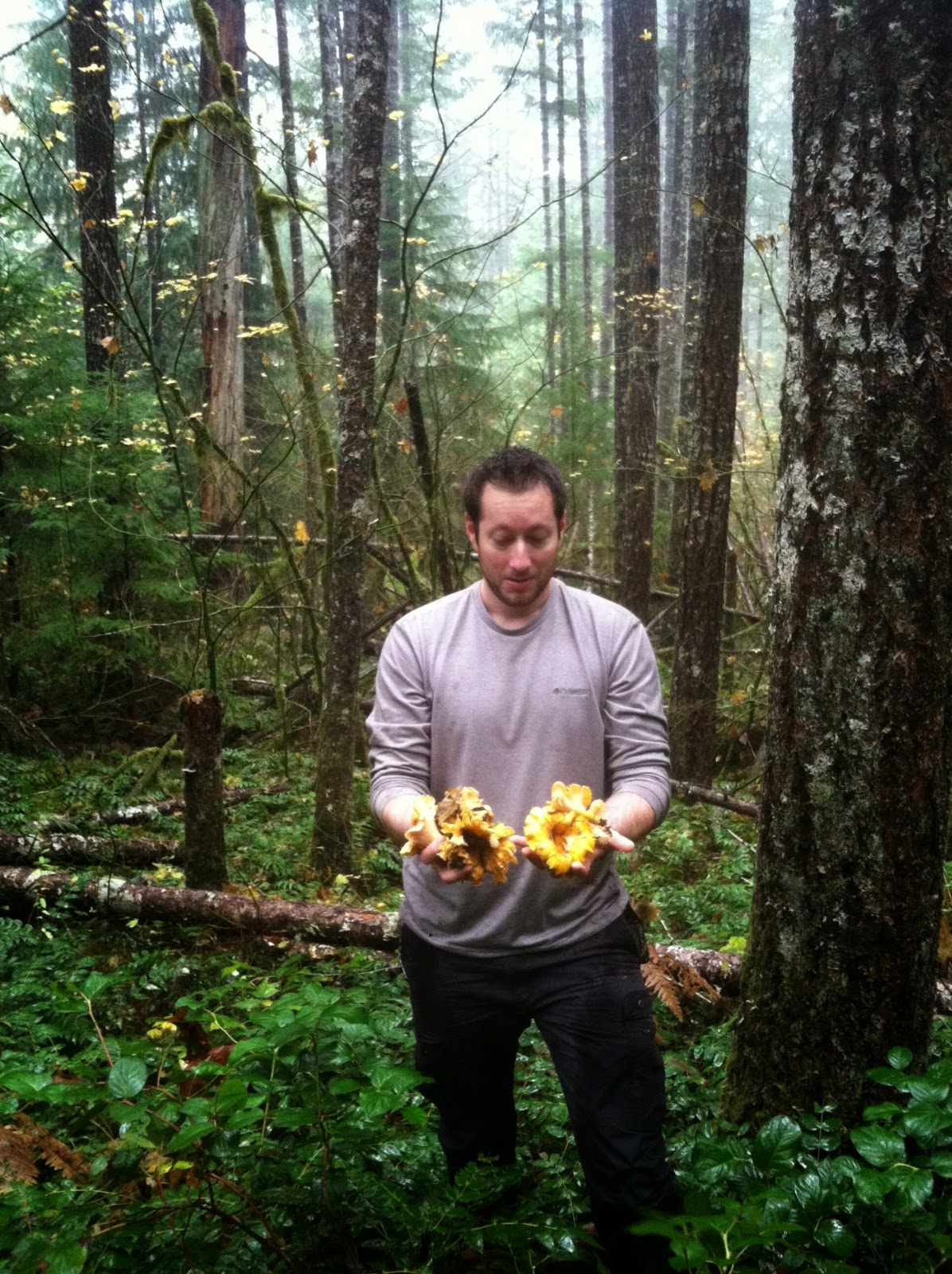 .Hike Mondays. Chanterelle Hunt November 2014 Gifford Pinchot/Panther