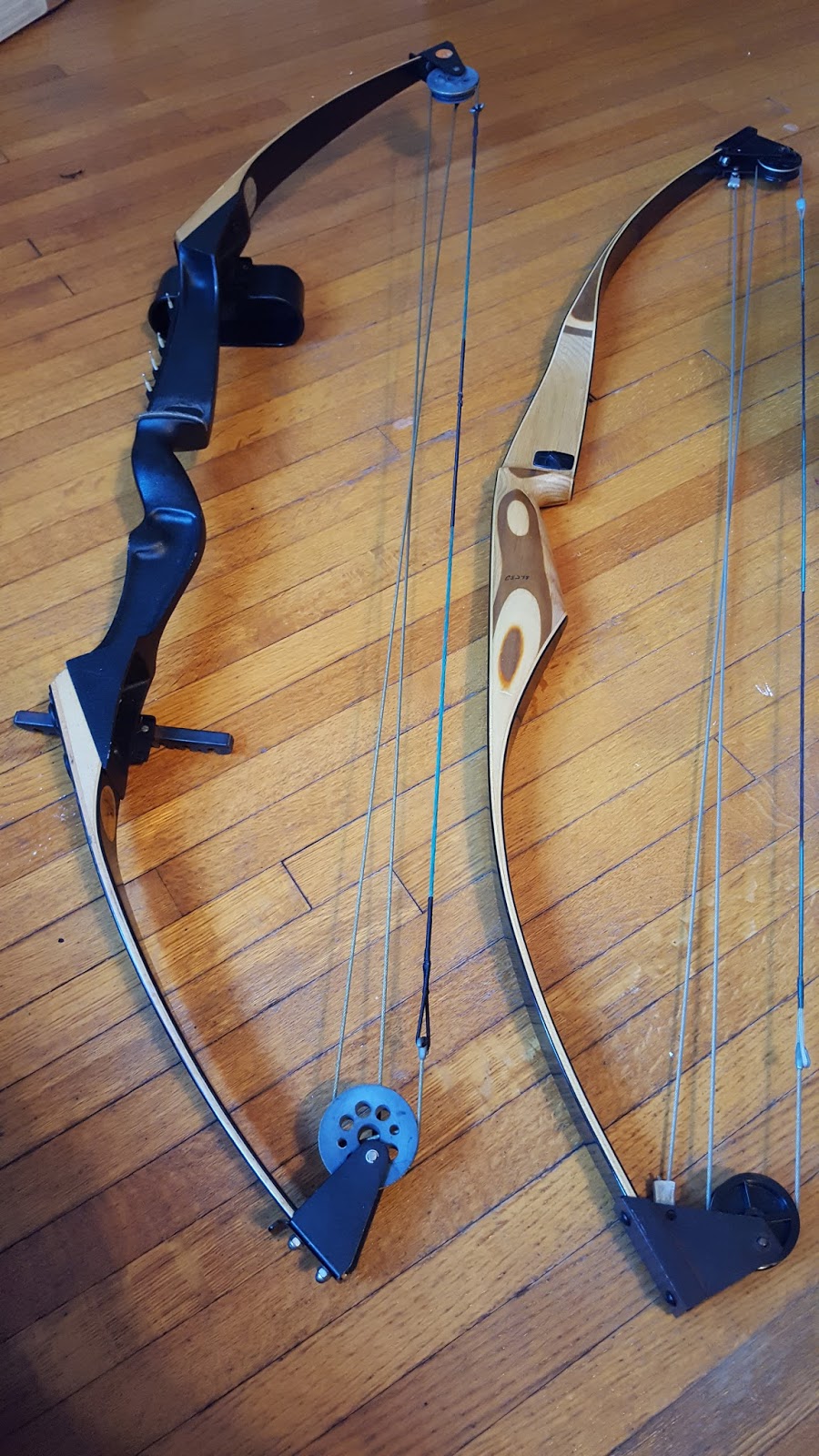 Project Gridless Are Compound Bows Superior to Recurve Bows?