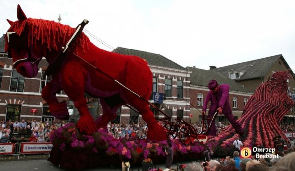 Bloemencorso: παρέλαση λουλουδιών στην Ολλανδία