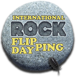 International Rock Flipping Day
