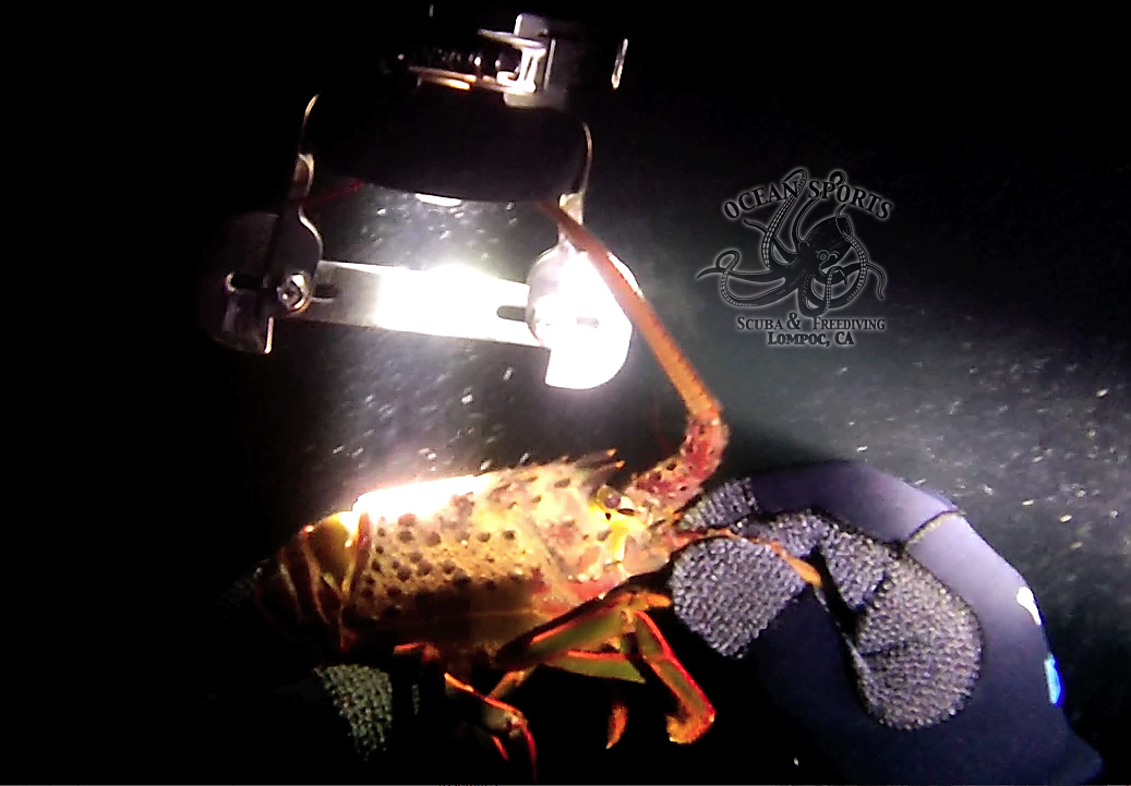 Ocean Sports Scuba & Freediving in Lompoc,CA. Full Service Dive Shop w