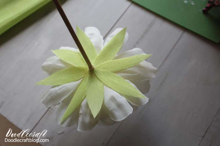 Italian Crepe Paper Succulents • Ultimate Paper Mache