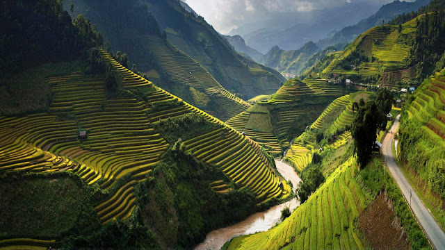 "Ngây ngất" Hình ảnh đẹp về làng quê Việt Nam đẹp như tranh