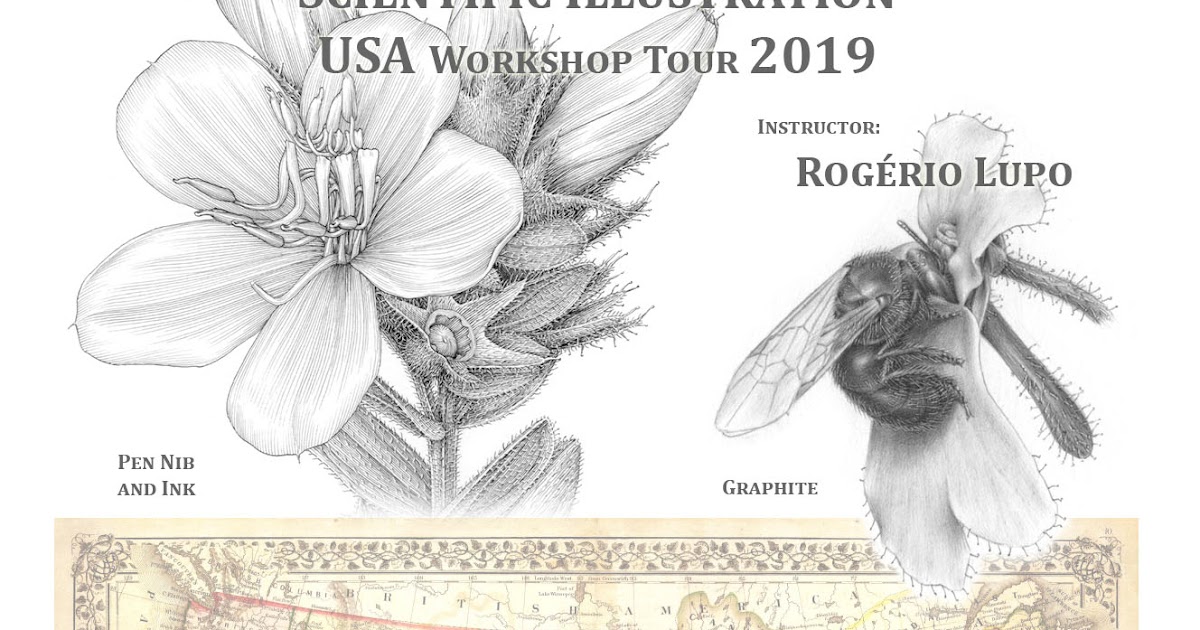Rogério Lupo USA tour 2019