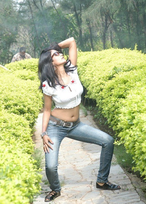 saira bhanu in saree hot photoshoot