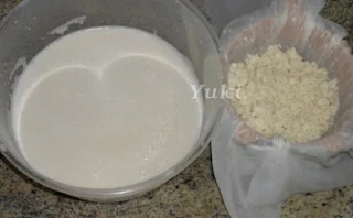 Kefir Alimento Probiótico