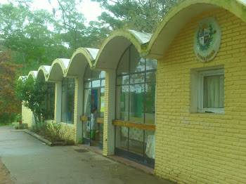 Escuela Nº36 Punta Ballena