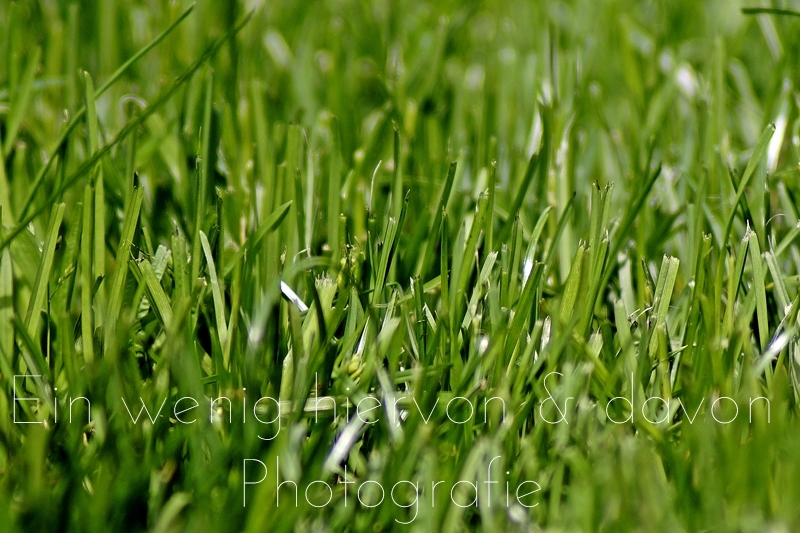 fim.works: Juni 2014