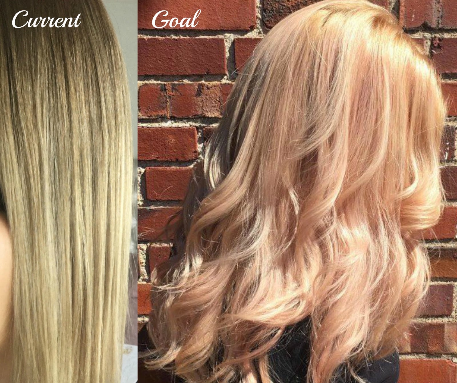 Journey To Rose Gold Blonde Hair Myra And Tash