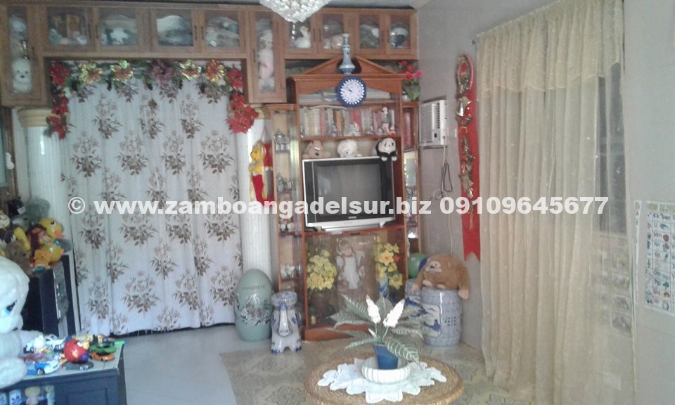 Zamboanga del Sur Properties FOR SALE HOUSE AND LOT AT PAGADIAN CITY